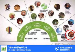 加馬飲料 市場反應與技術開發的雙重考量